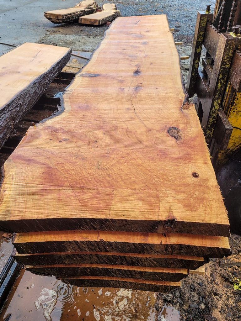 Sawmill saw chain wood crisswood ireland