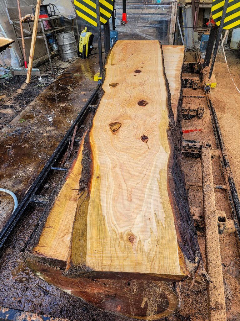 Sawmill saw chain wood crisswood ireland
